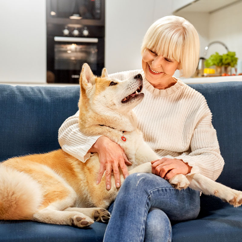 NJ Animal Chiro